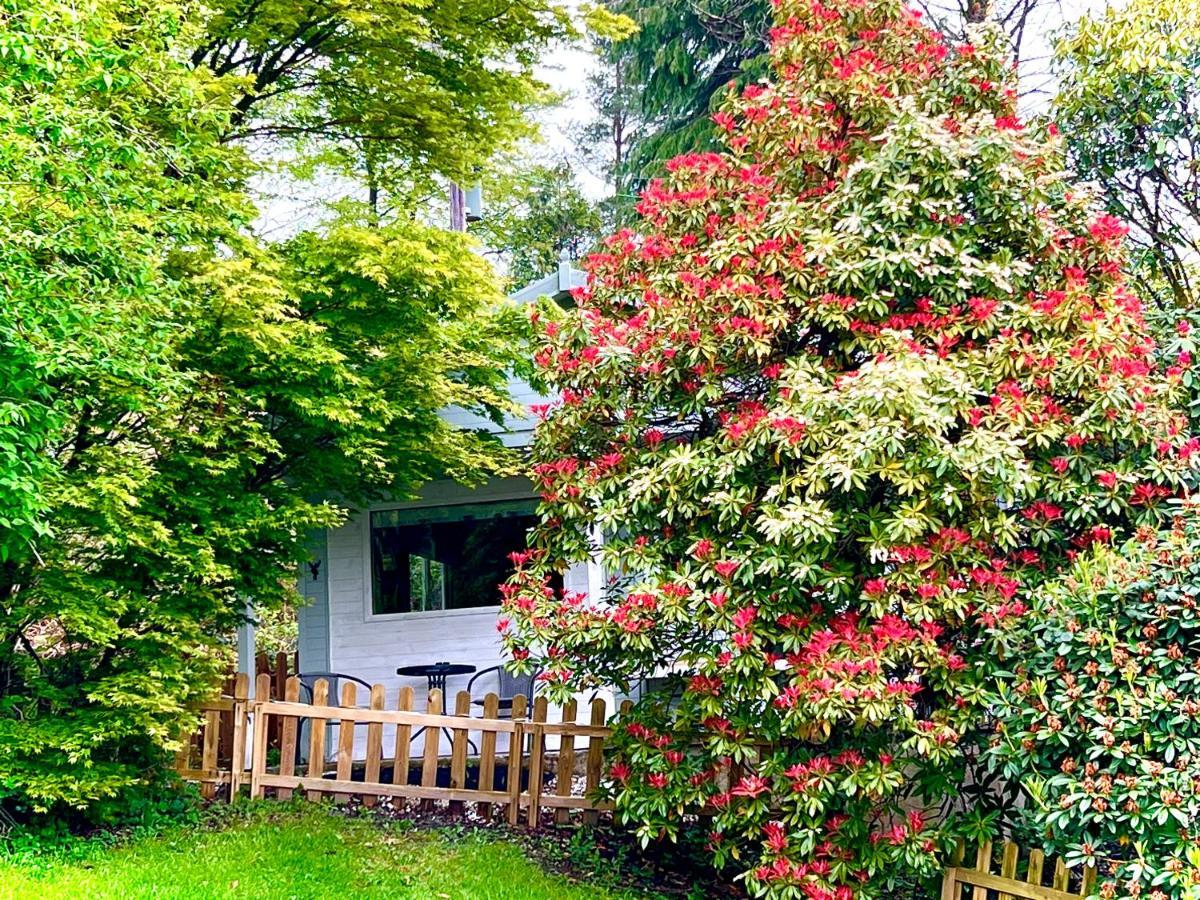 Вилла Treeside Woodhouse Хоуксхед Экстерьер фото